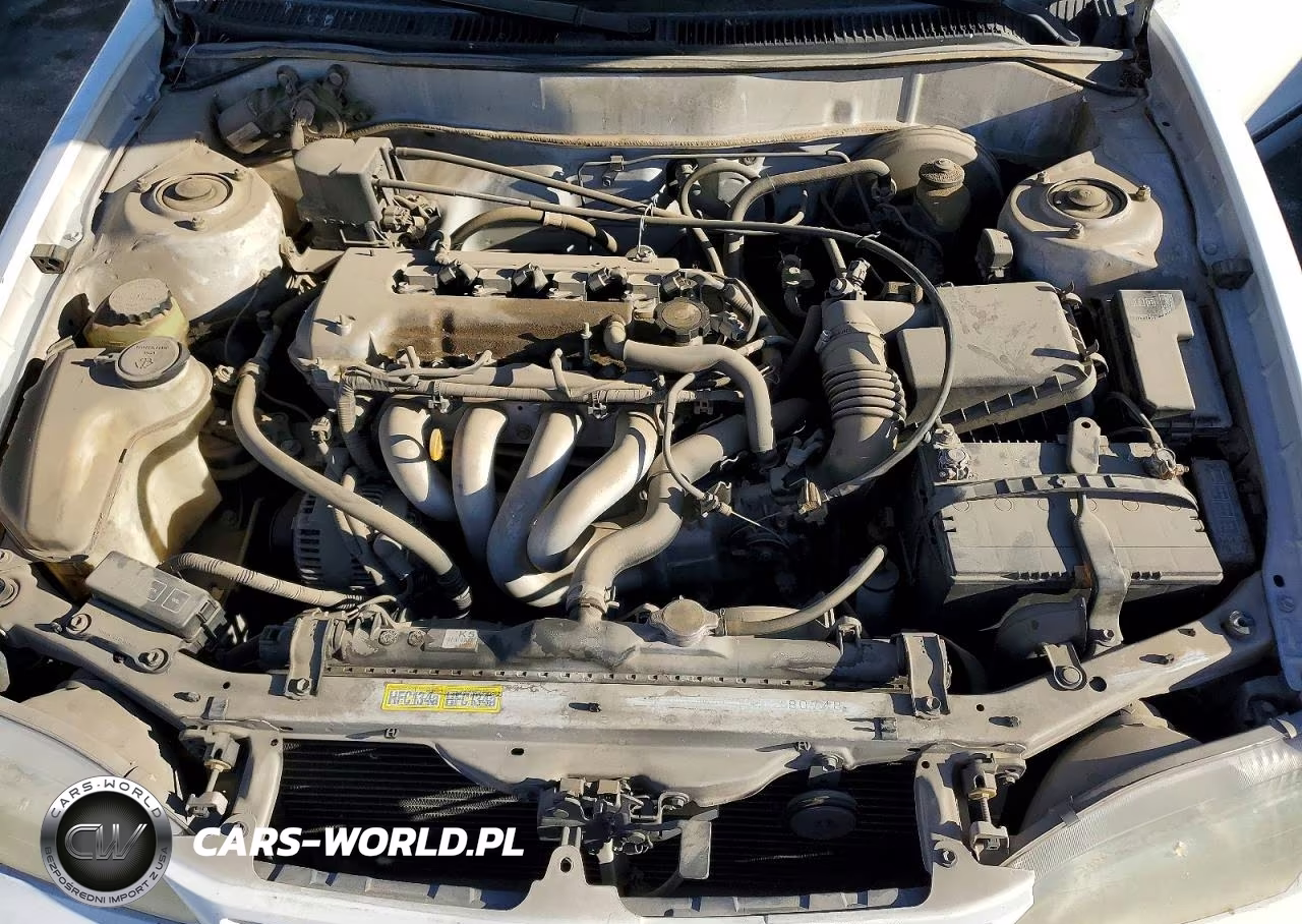2000 Toyota Corolla Ve VIN:1NXBR12E2YZ346239 - 11
