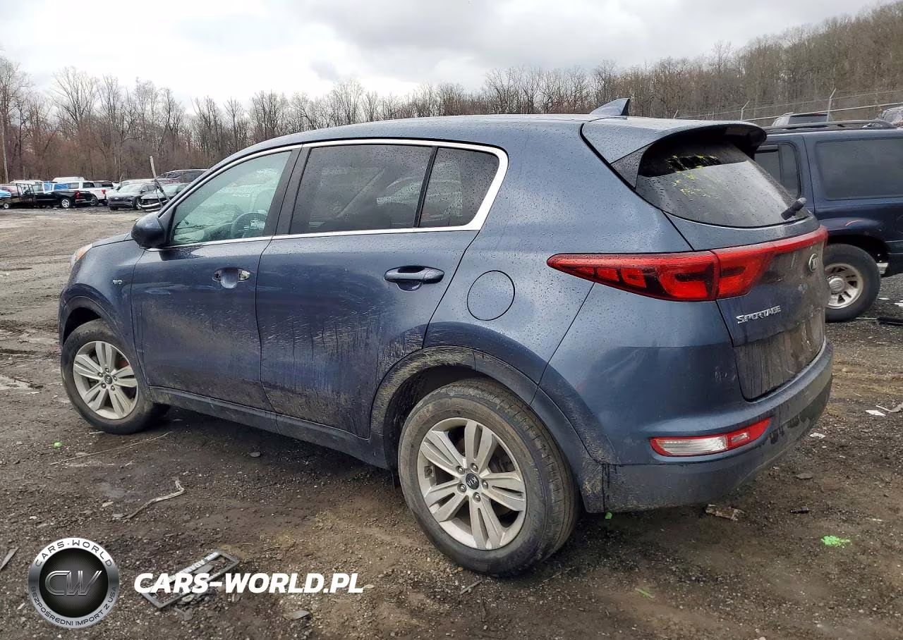 2019 Kia Sportage Lx VIN:KNDPMCAC9K7627822 - 2