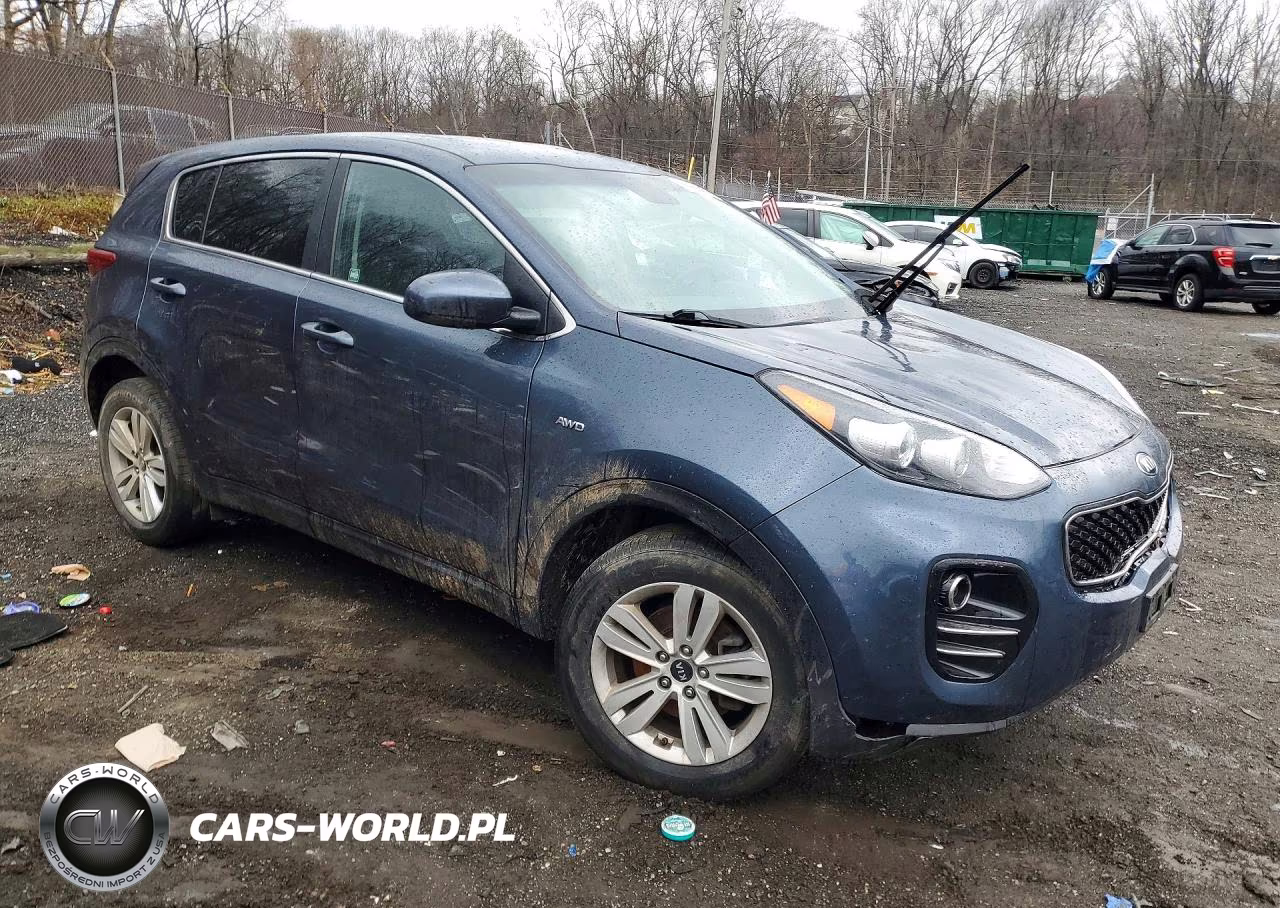 2019 Kia Sportage Lx VIN:KNDPMCAC9K7627822 - 4