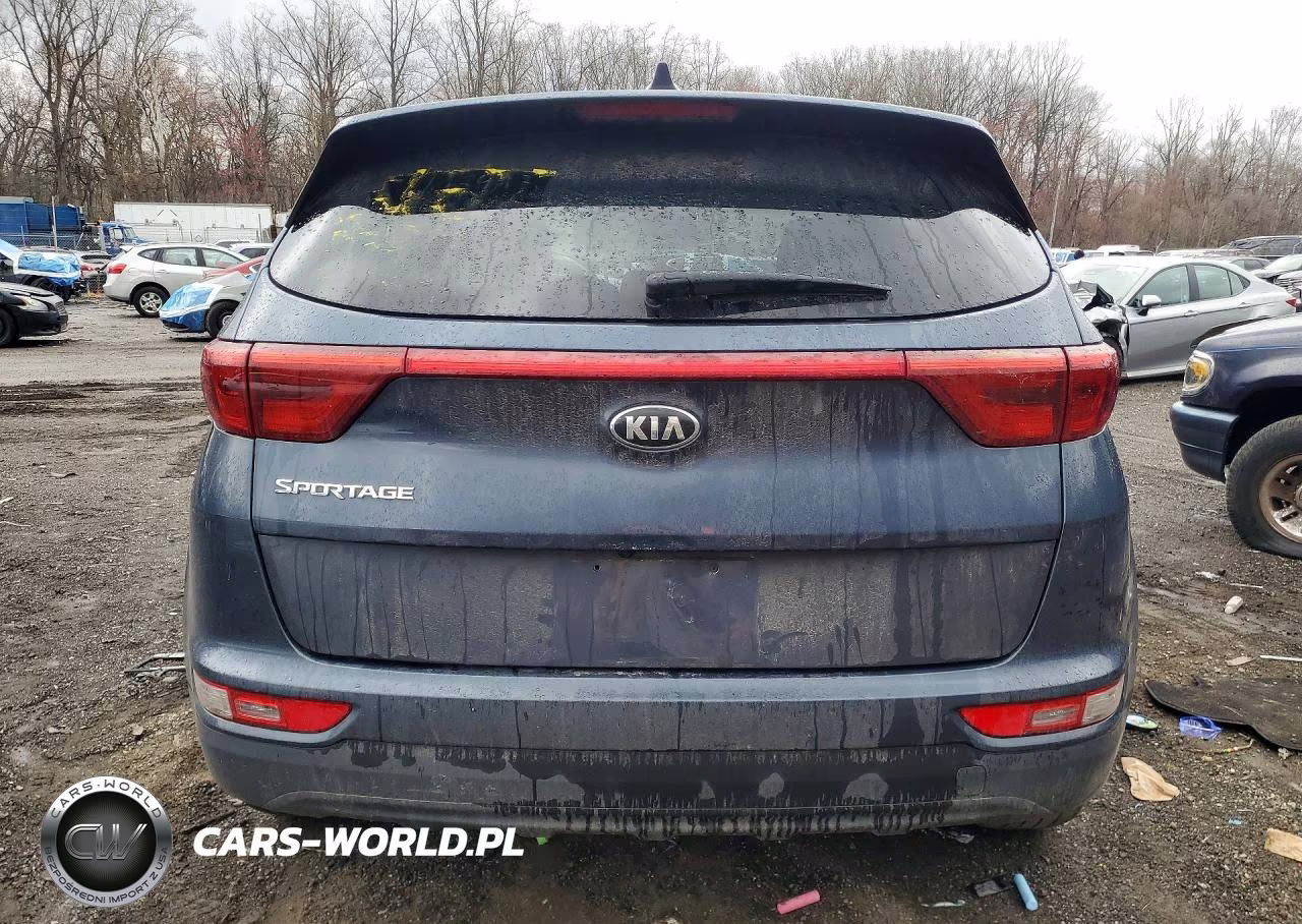 2019 Kia Sportage Lx VIN:KNDPMCAC9K7627822 - 6