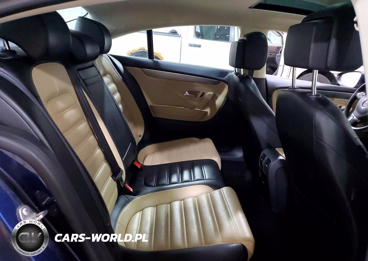 2013 Volkswagen Cc Luxury VIN:WVWRP7AN2DE528511 - 10
