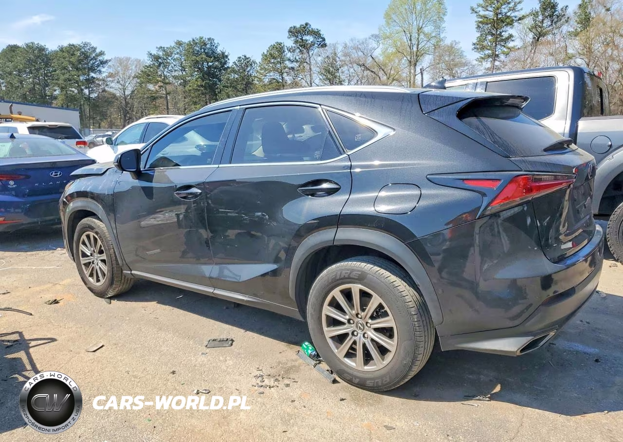 2019 Lexus Nx 300 Base VIN:JTJYARBZ8K2146831 - 2