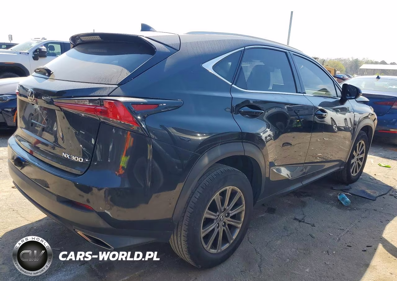 2019 Lexus Nx 300 Base VIN:JTJYARBZ8K2146831 - 3