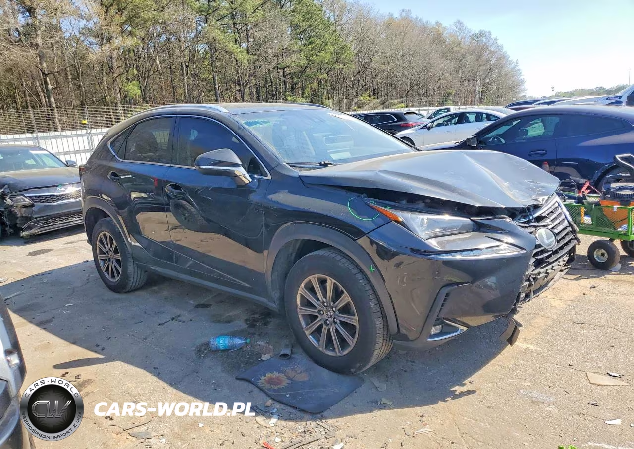 2019 Lexus Nx 300 Base VIN:JTJYARBZ8K2146831 - 4
