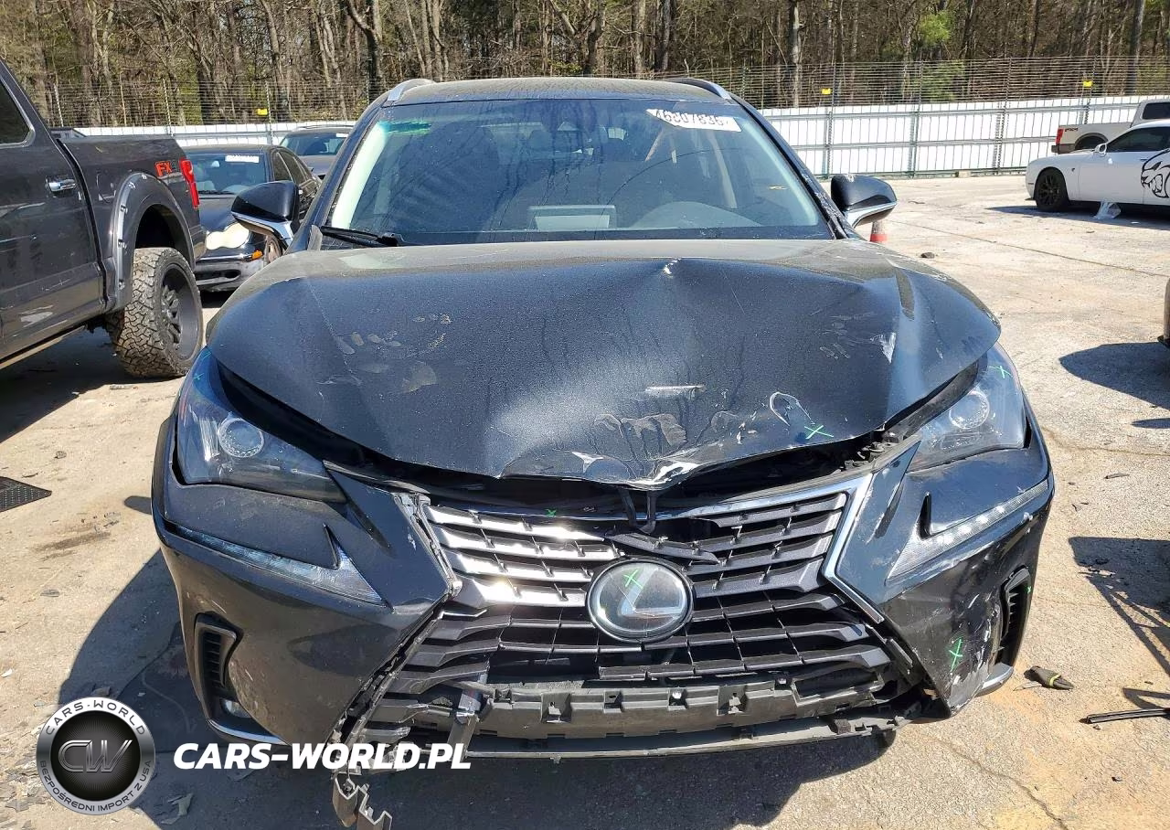 2019 Lexus Nx 300 Base VIN:JTJYARBZ8K2146831 - 5