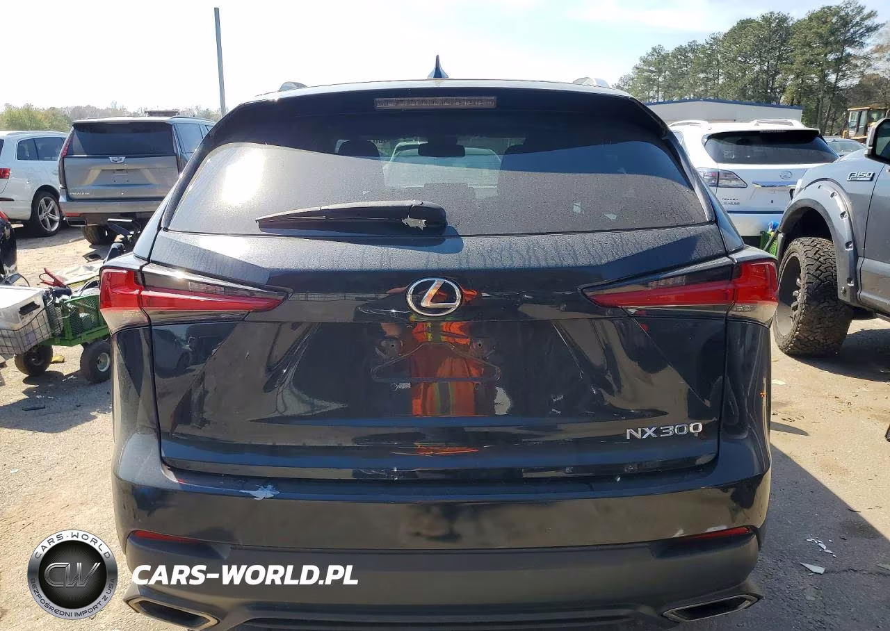 2019 Lexus Nx 300 Base VIN:JTJYARBZ8K2146831 - 6