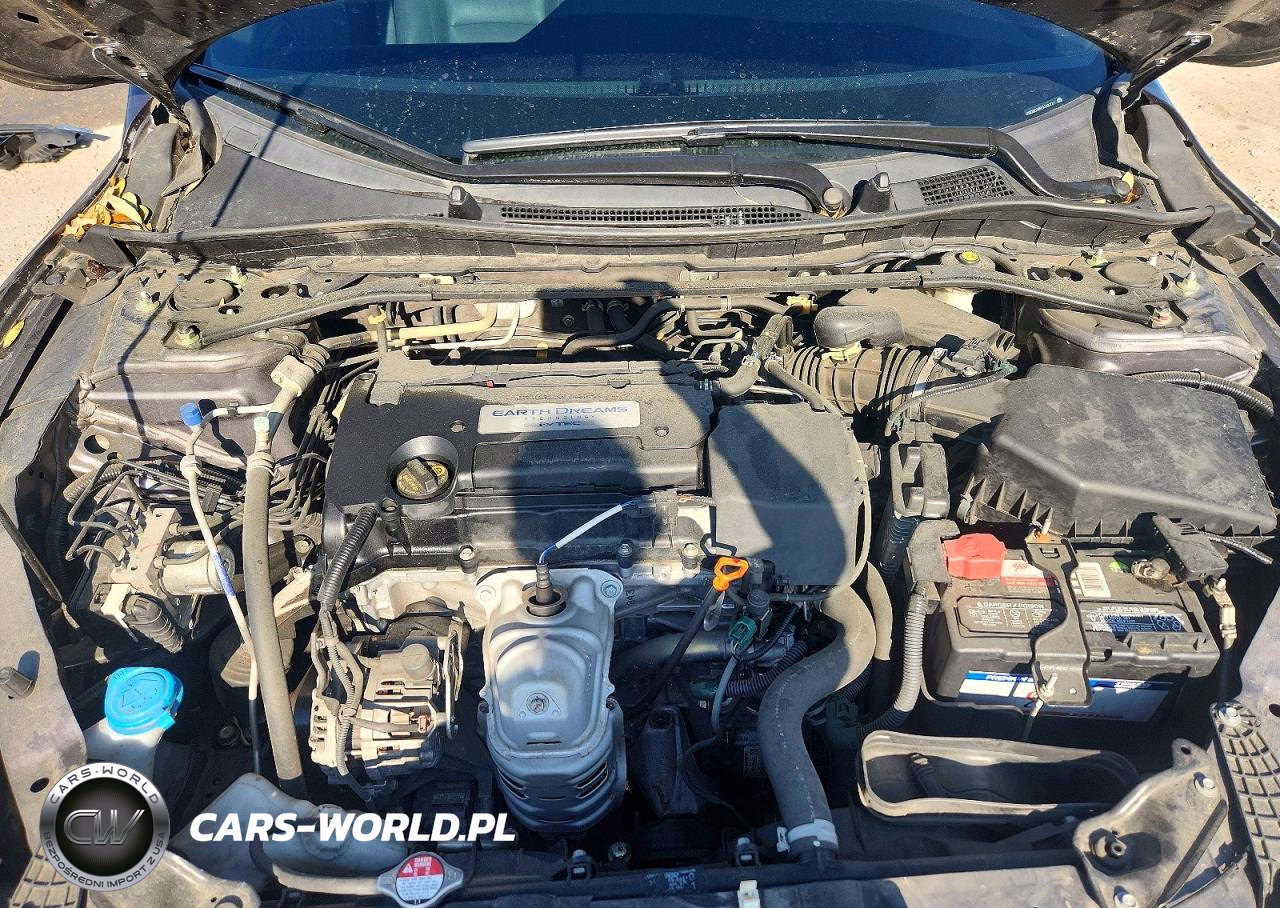 2014 Honda Accord Exl VIN:1HGCR2F85EA188772 - 11