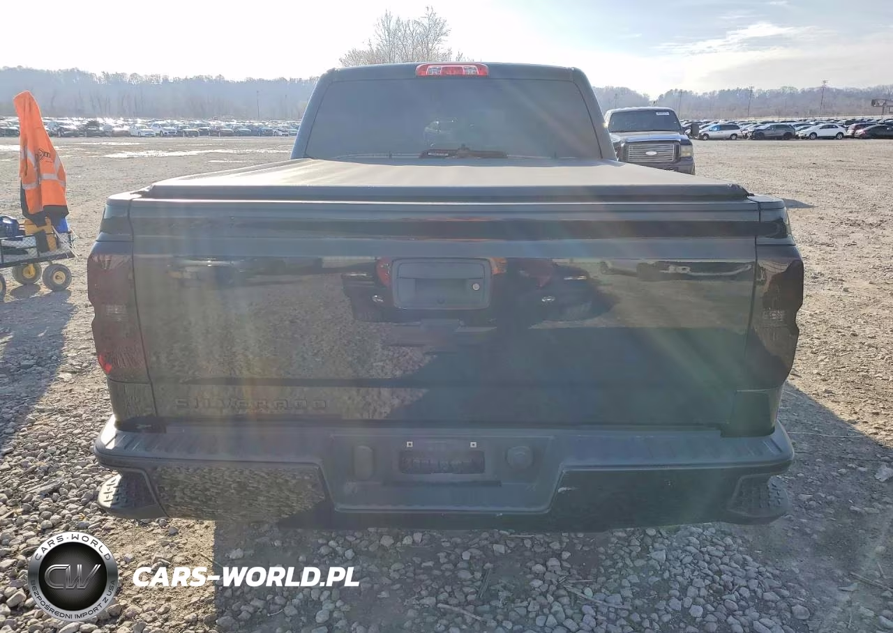 2017 Chevrolet Silverado K1500 Custom VIN:1GCVKPEC7HZ394132 - 6