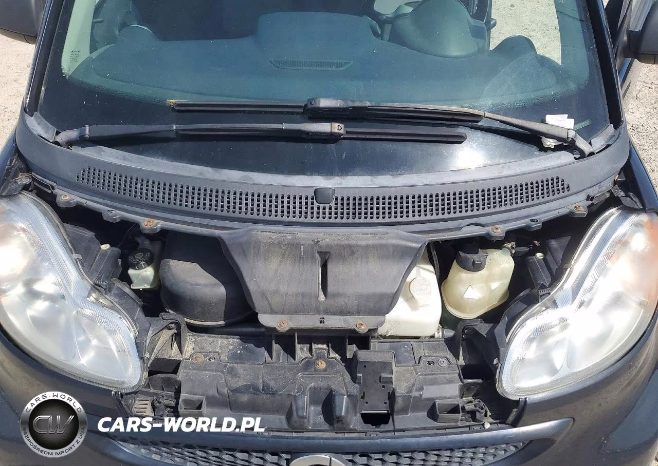 2013 Smart Fortwo Pure VIN:WMEEJ3BA2DK679159 - 11