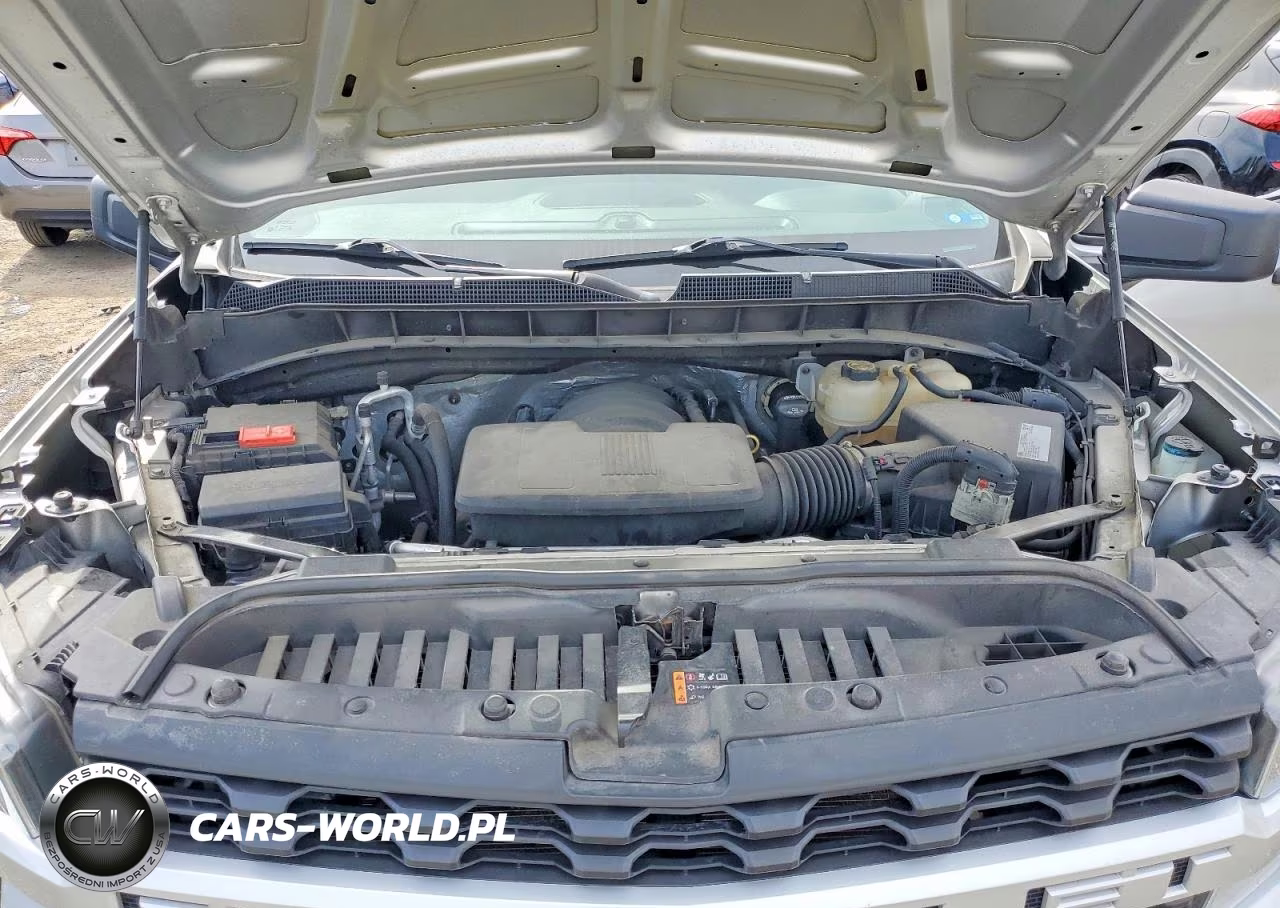2019 Chevrolet Silverado K1500 Custom VIN:3GCPYBEH0KG304445 - 11