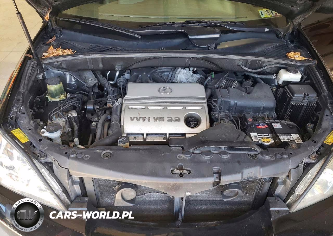 2005 Lexus Rx 330 Base VIN:2T2HA31UX5C041084 - 12