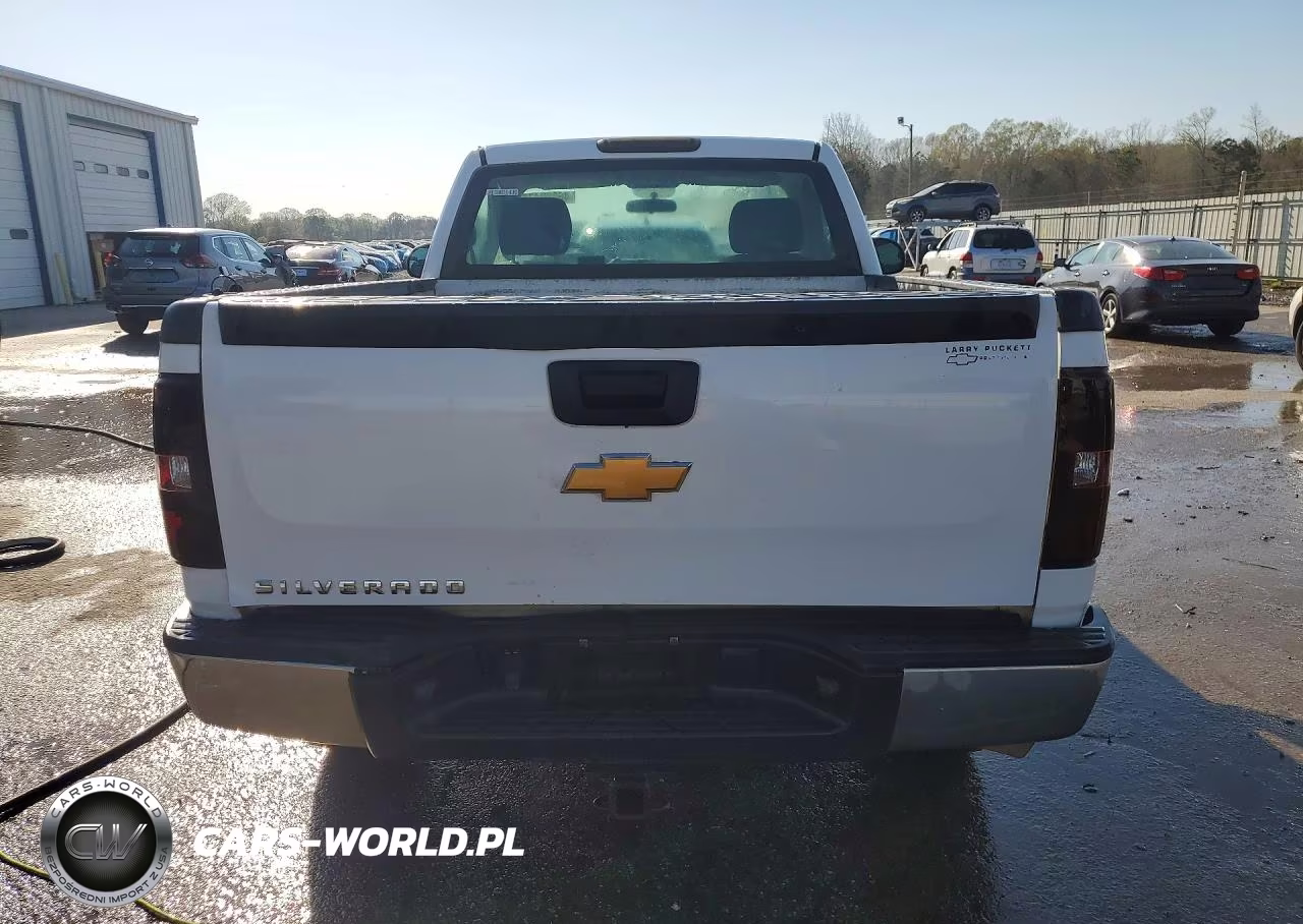 2012 Chevrolet Silverado C1500 VIN:1GCNCPEX3CZ144315 - 6