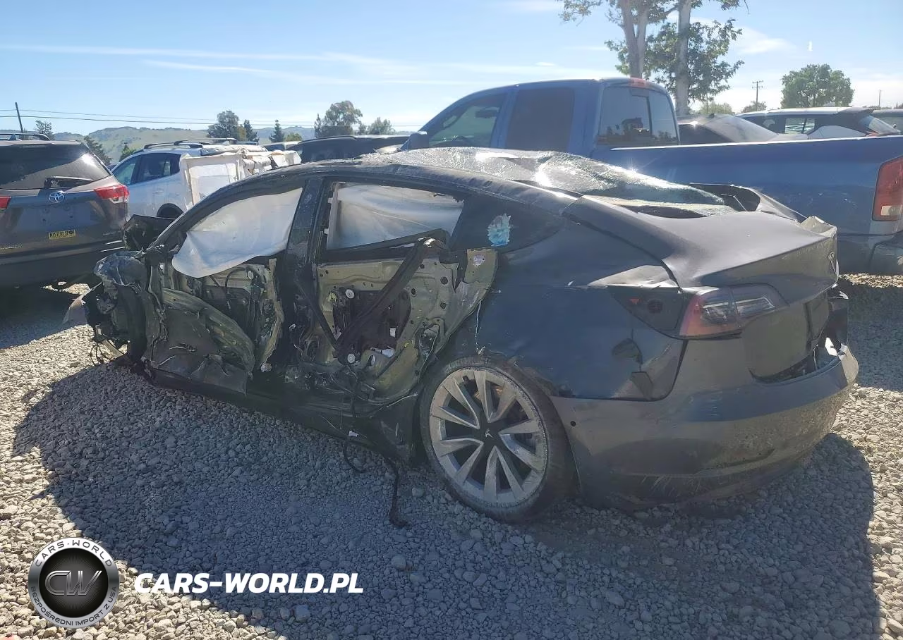 2022 Tesla Model 3 VIN:5YJ3E1EB5NF204834 - 2