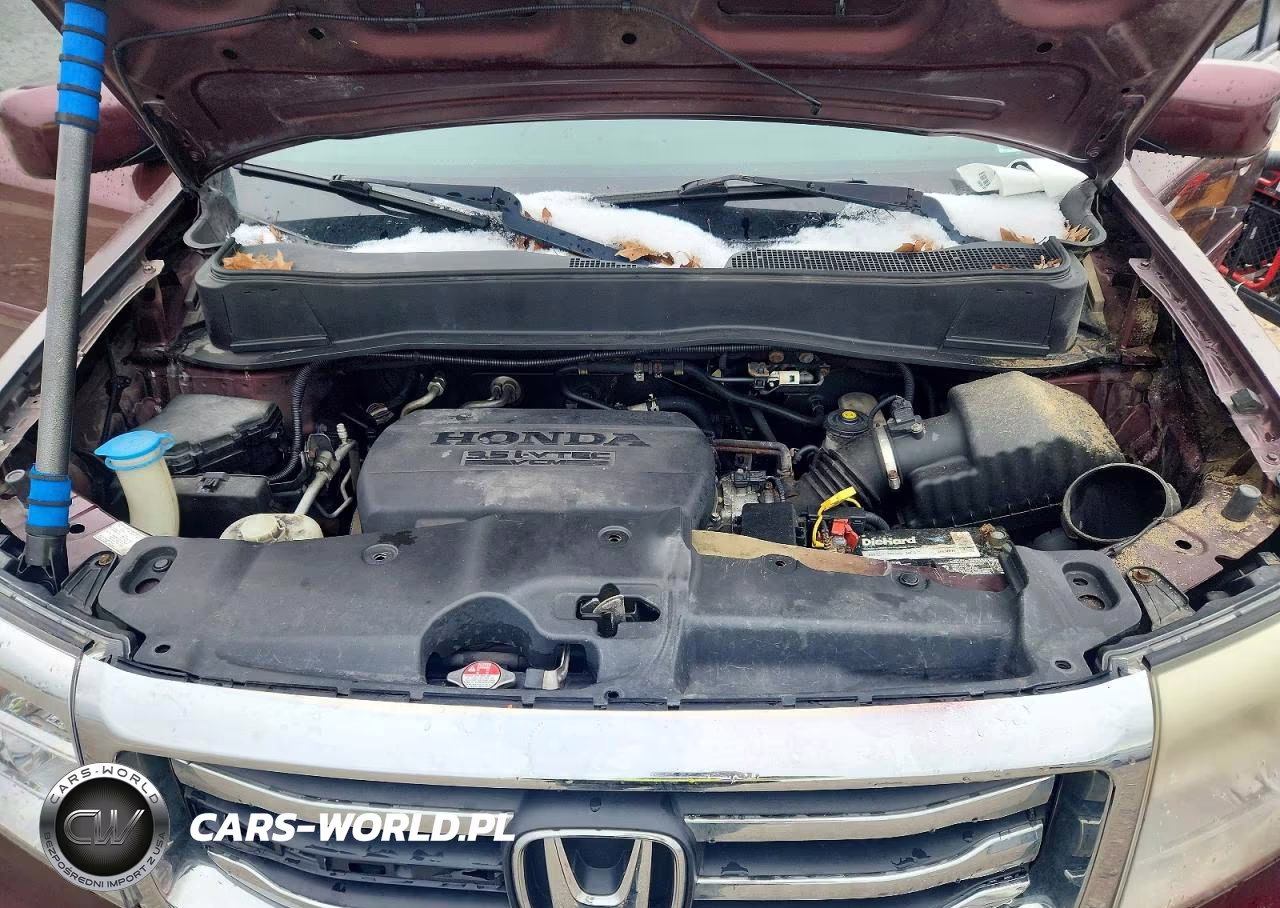 2013 Honda Pilot Exl VIN:5FNYF4H54DB072819 - 12