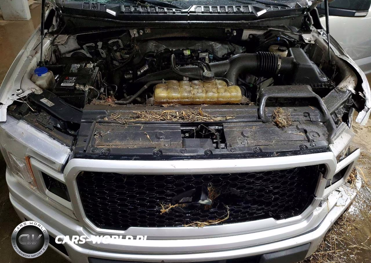 2019 Ford F150 Supercrew VIN:1FTEW1EP1KFD29385 - 11
