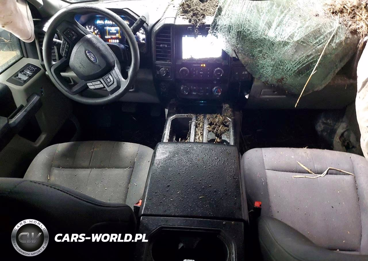 2019 Ford F150 Supercrew VIN:1FTEW1EP1KFD29385 - 8