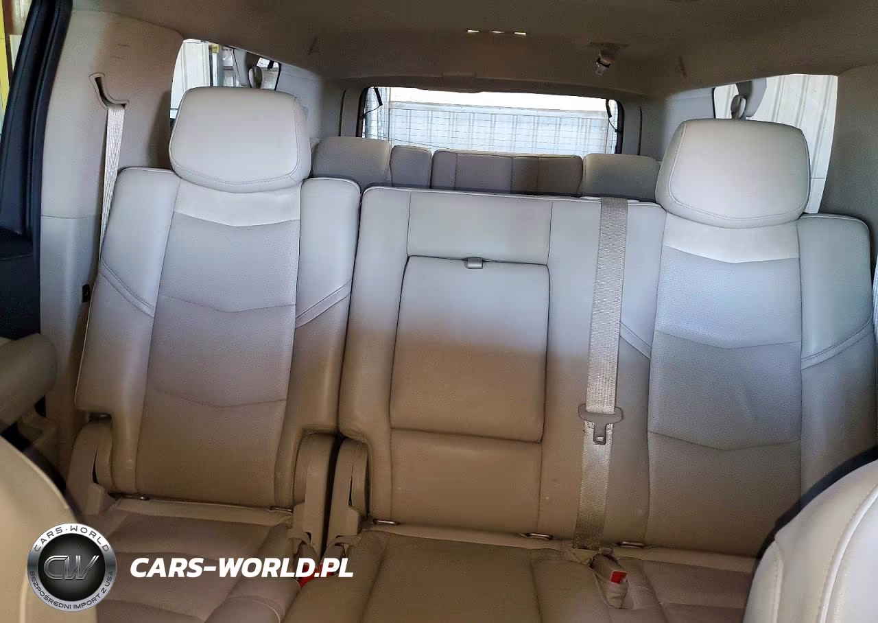 2019 Cadillac Escalade Esv Luxury VIN:1GYS4HKJ9KR397217 - 10