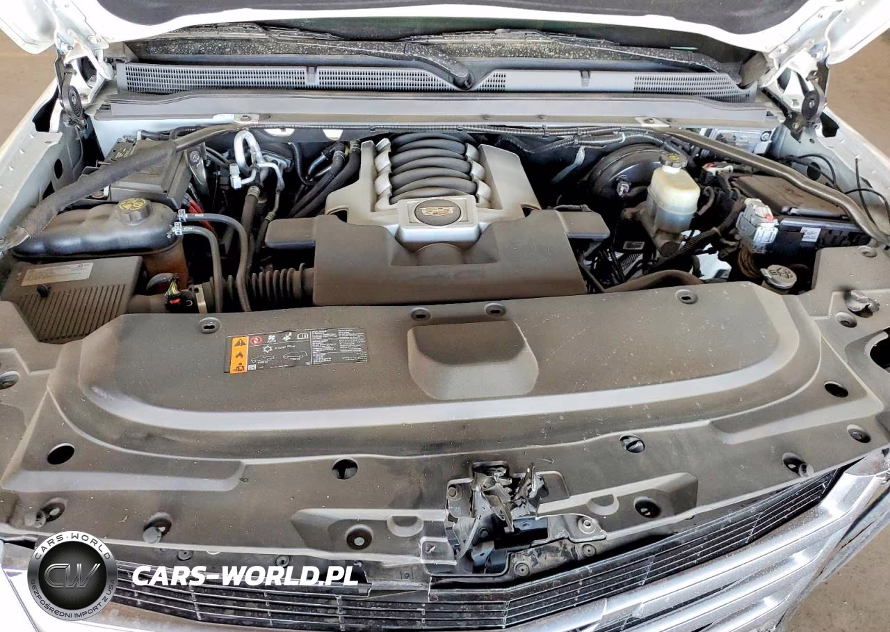 2019 Cadillac Escalade Esv Luxury VIN:1GYS4HKJ9KR397217 - 12
