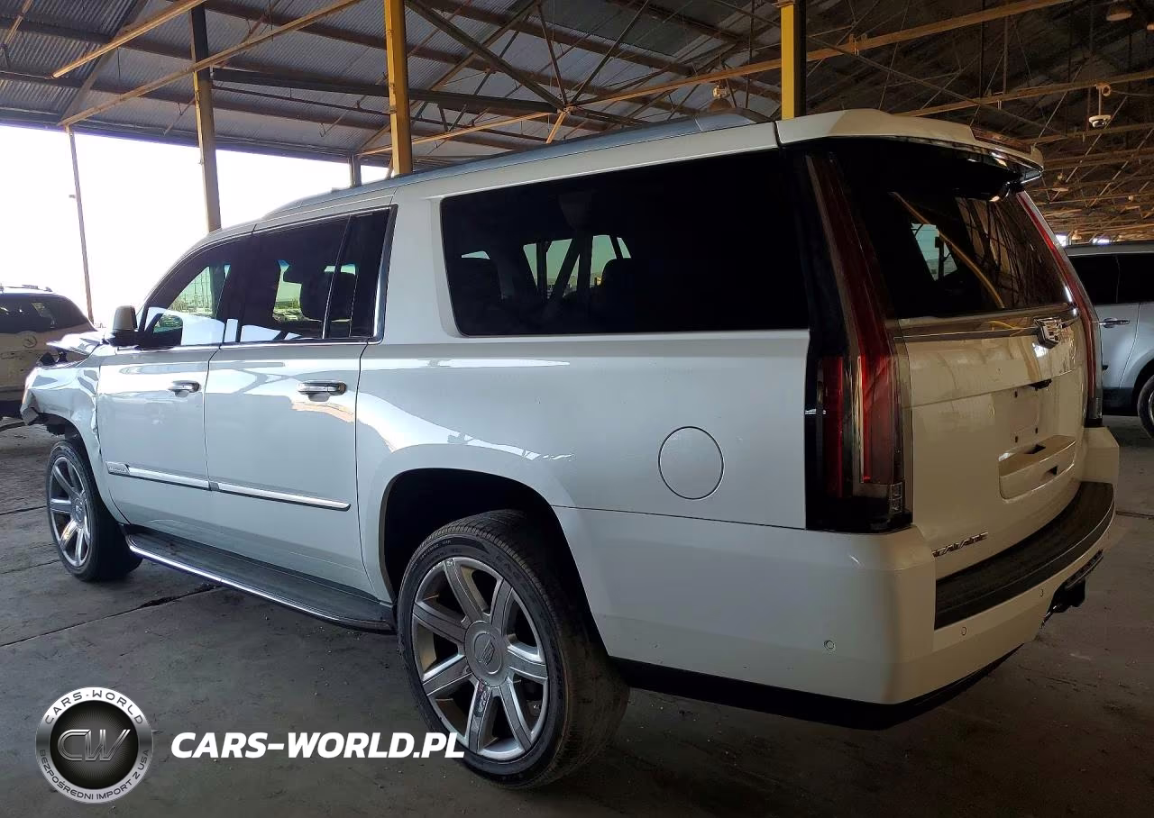 2019 Cadillac Escalade Esv Luxury VIN:1GYS4HKJ9KR397217 - 2