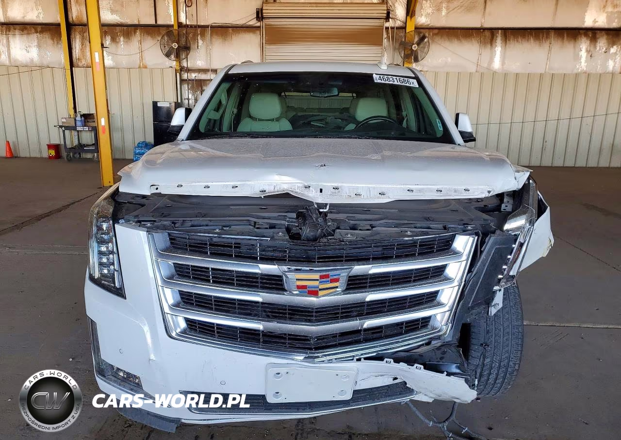 2019 Cadillac Escalade Esv Luxury VIN:1GYS4HKJ9KR397217 - 5