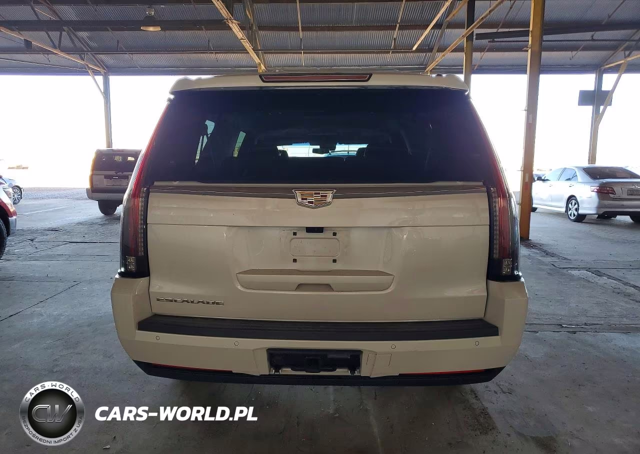 2019 Cadillac Escalade Esv Luxury VIN:1GYS4HKJ9KR397217 - 6