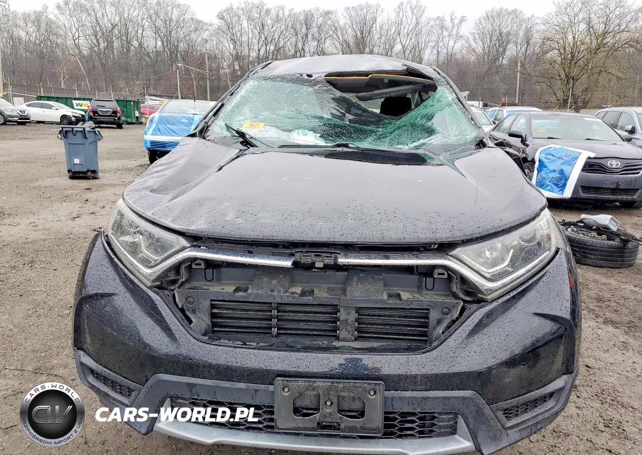 2019 Honda Cr-V Lx VIN:2HKRW6H33KH204496 - 5