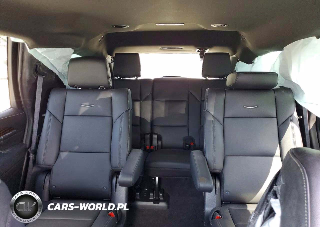 2024 Cadillac Escalade Luxury VIN:1GYS3AKL9RR250207 - 10