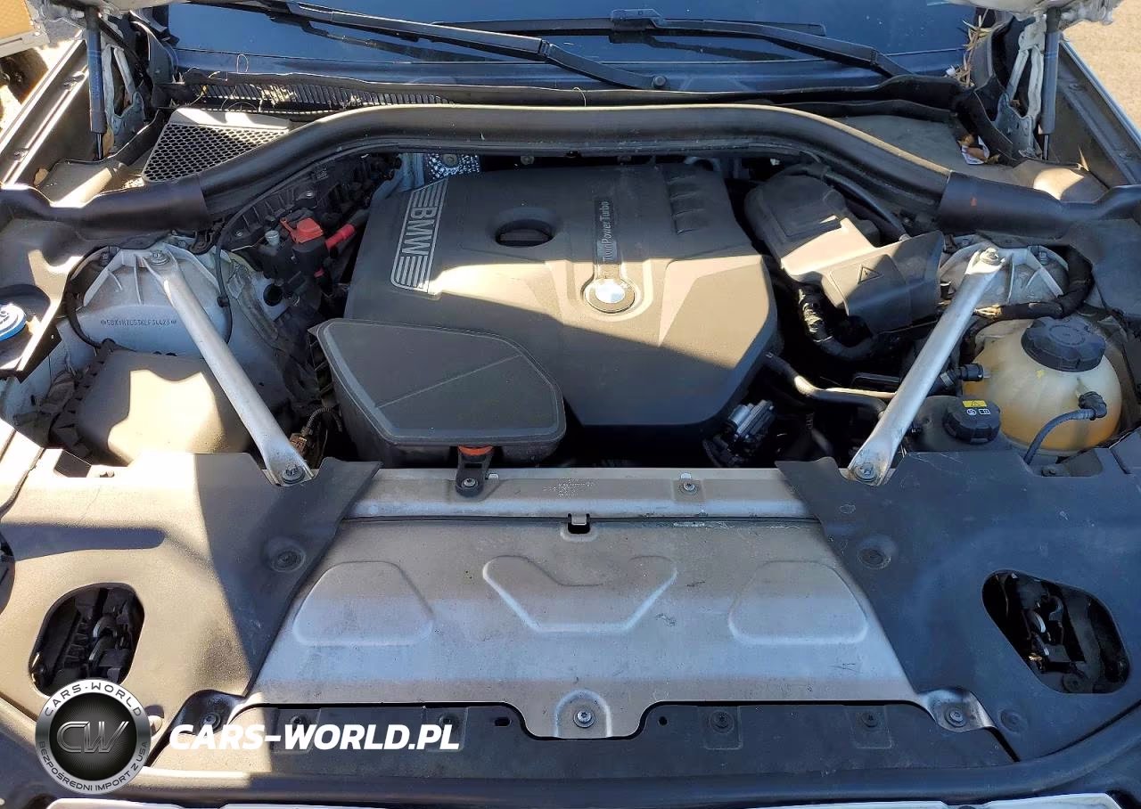 2019 BMW X3 Sdrive30I VIN:5UXTR7C53KLF34423 - 12