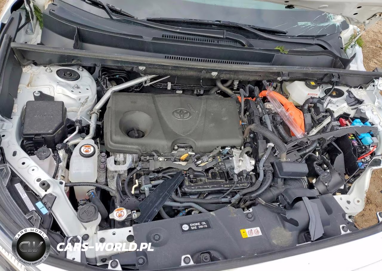 2025 Toyota Rav4 Hybrid Le VIN:4T3MWRFV1SU192566 - 12