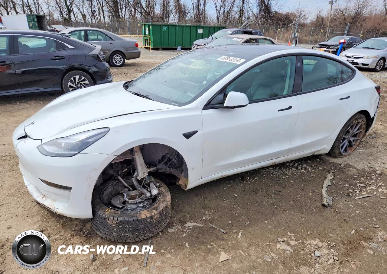 2023 Tesla Model 3 VIN:5YJ3E1EA0PF489842 - 1