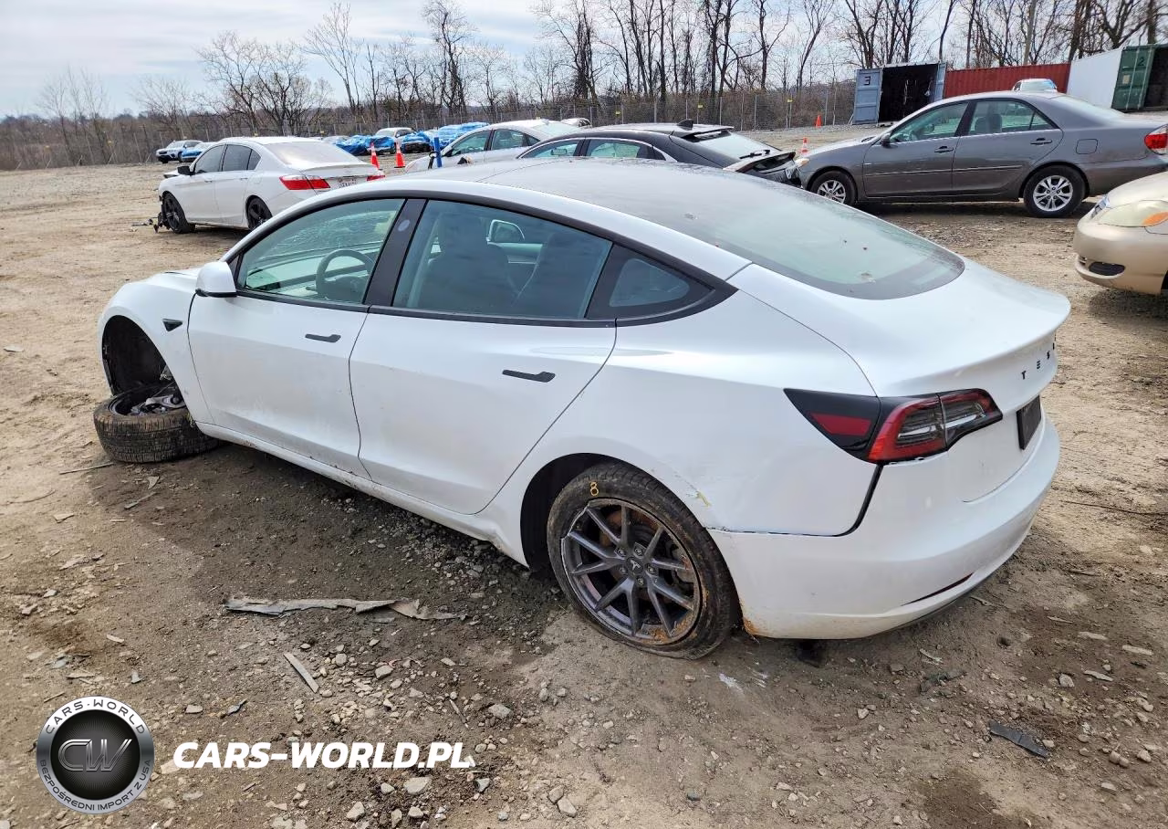 2023 Tesla Model 3 VIN:5YJ3E1EA0PF489842 - 2