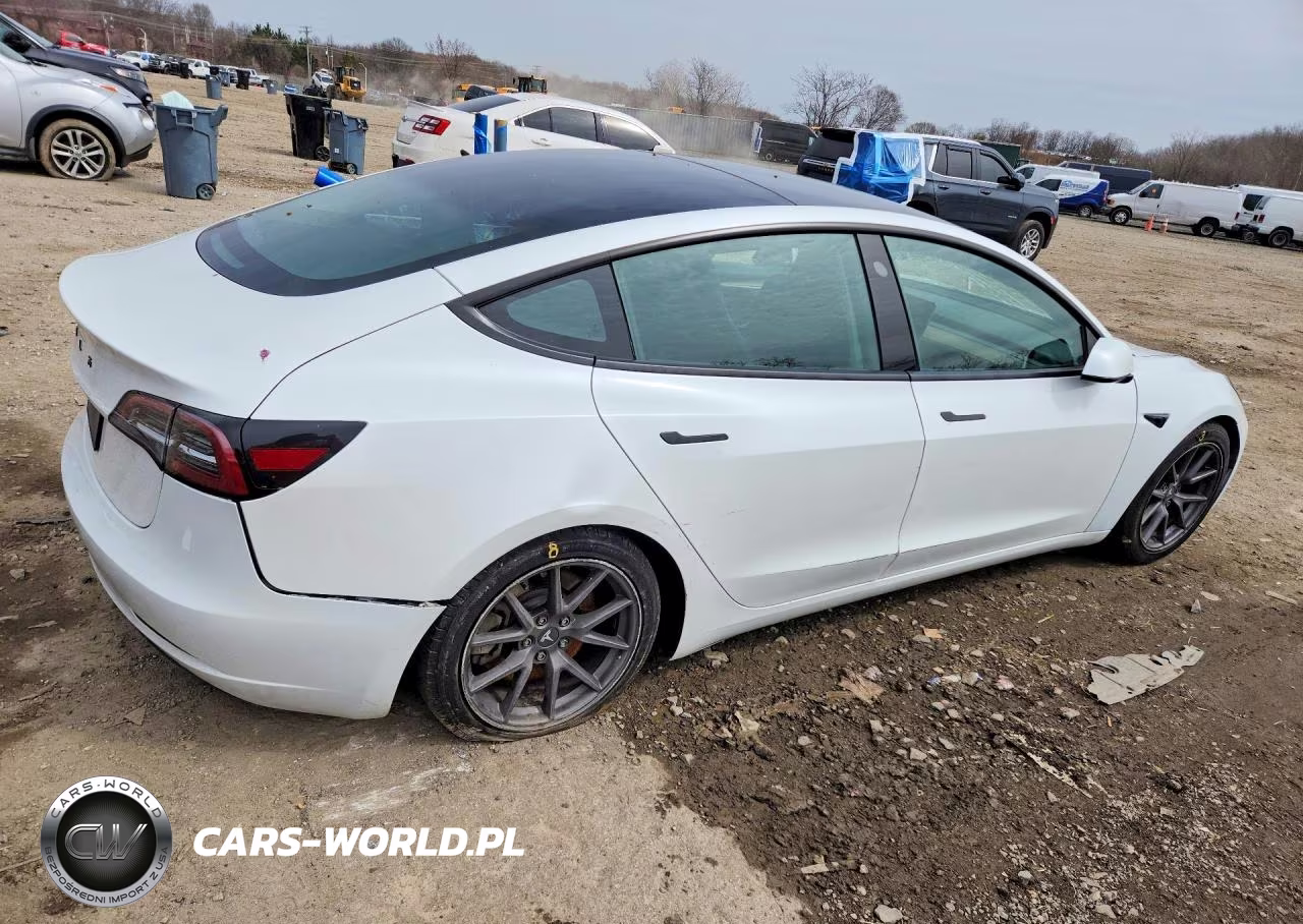 2023 Tesla Model 3 VIN:5YJ3E1EA0PF489842 - 3