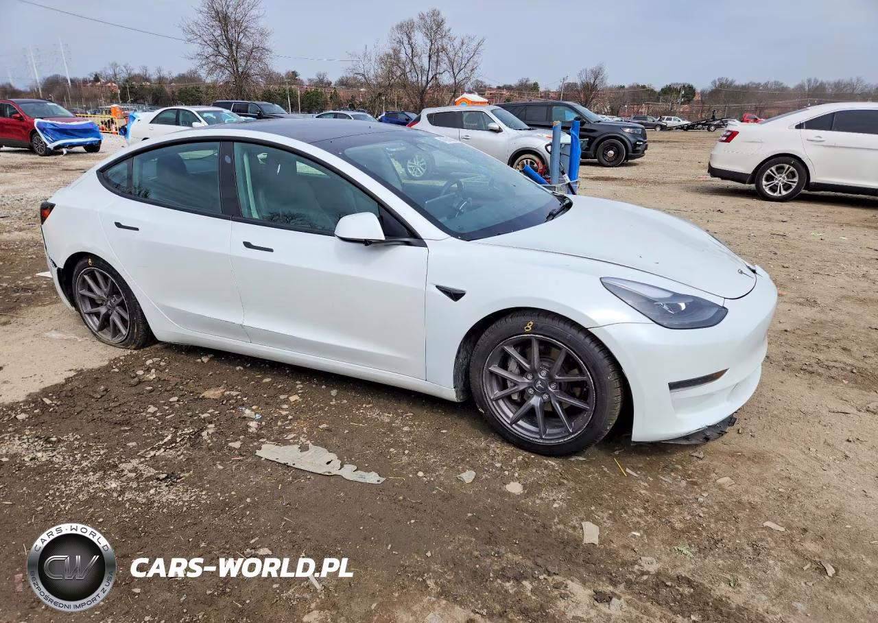2023 Tesla Model 3 VIN:5YJ3E1EA0PF489842 - 4