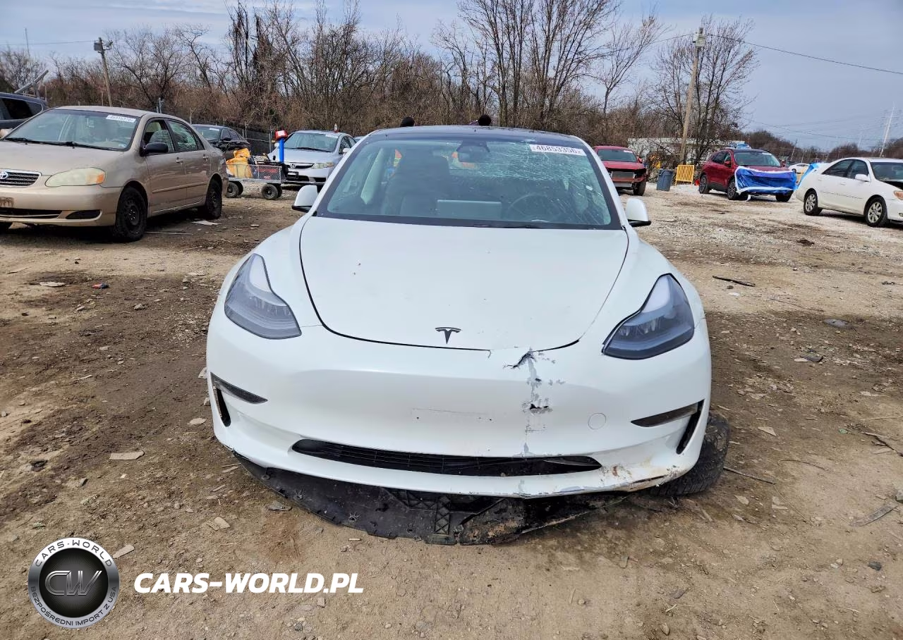 2023 Tesla Model 3 VIN:5YJ3E1EA0PF489842 - 5