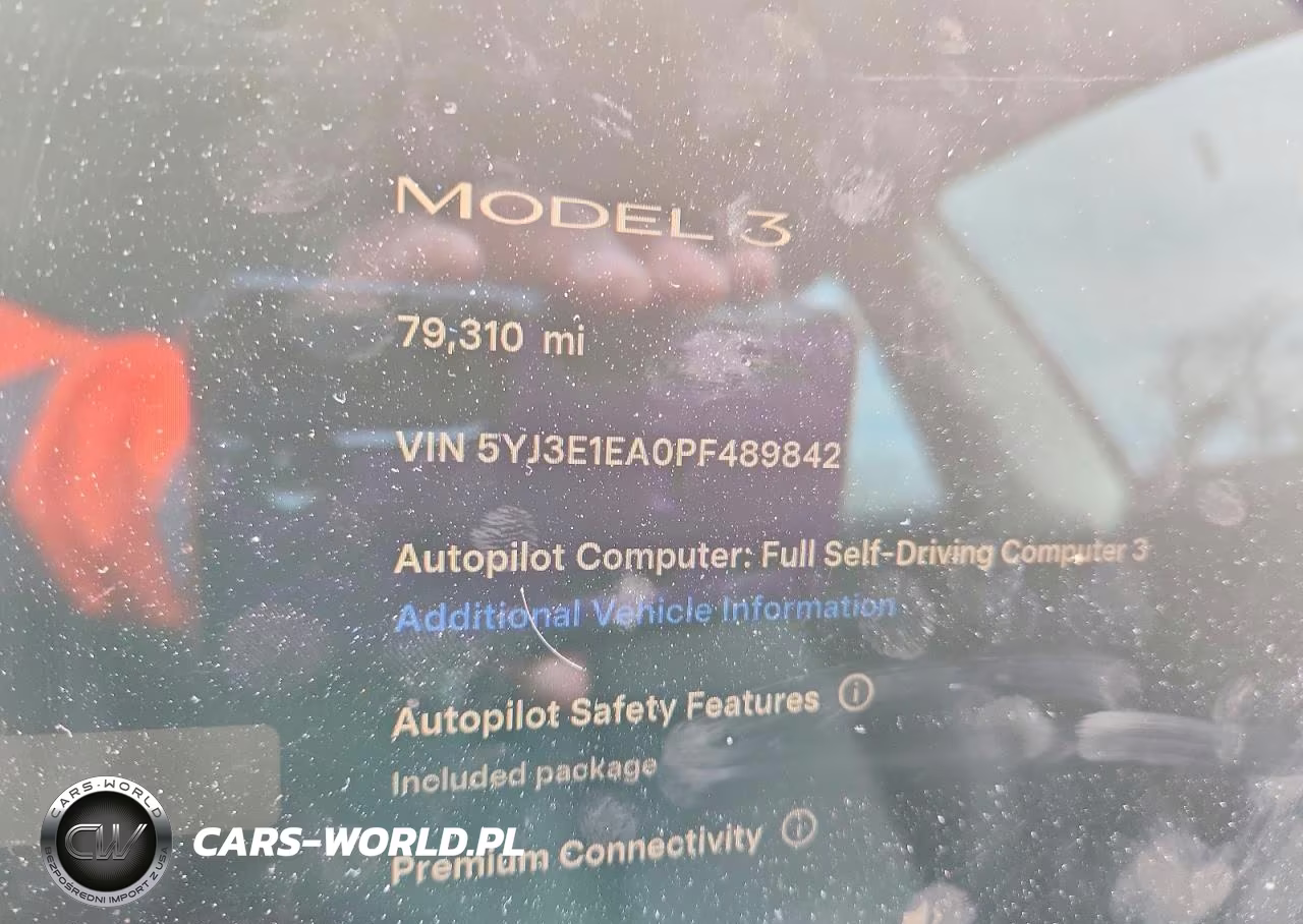 2023 Tesla Model 3 VIN:5YJ3E1EA0PF489842 - 9