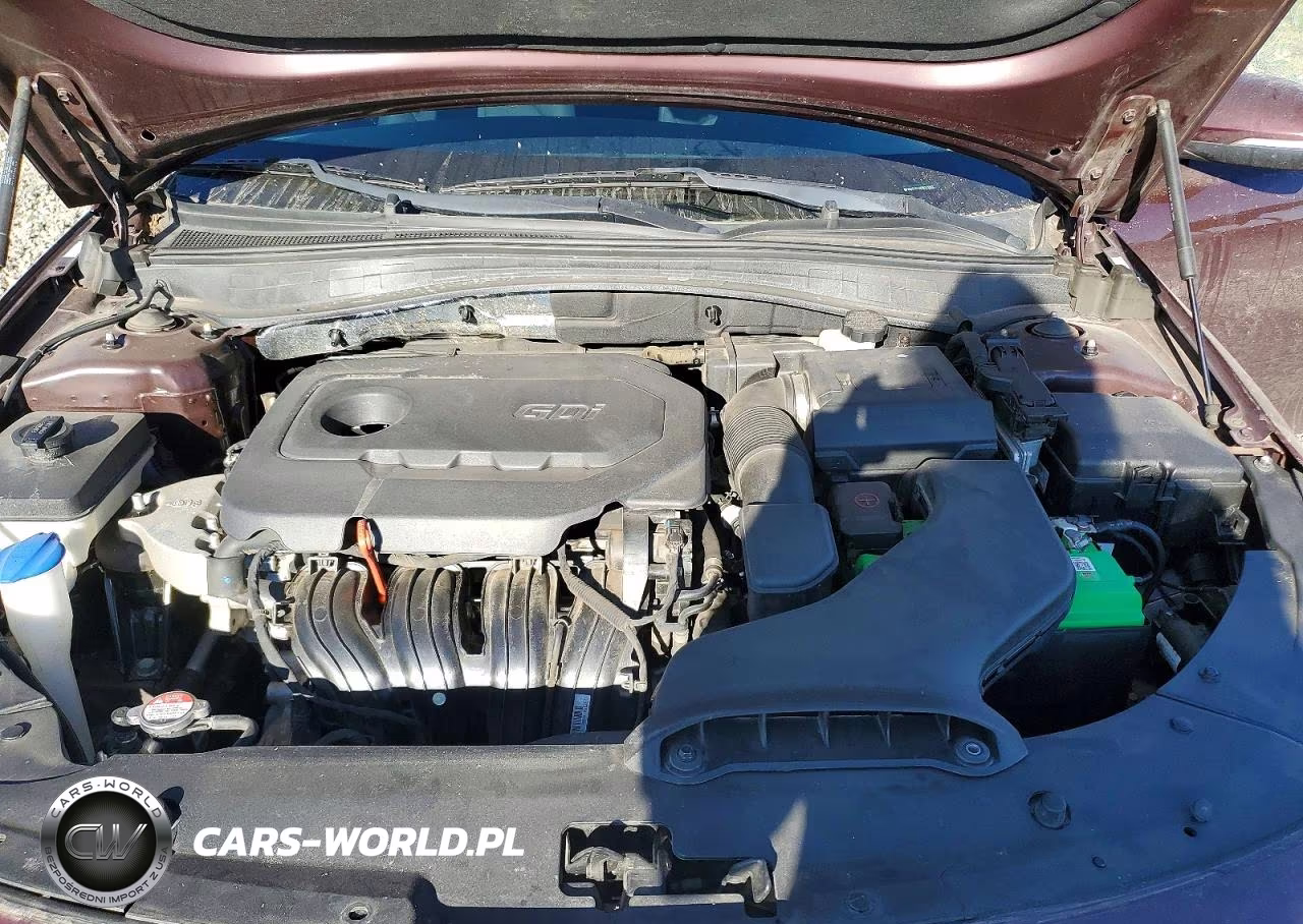 2019 Kia Optima VIN:5XXGT4L32KG325561 - 11