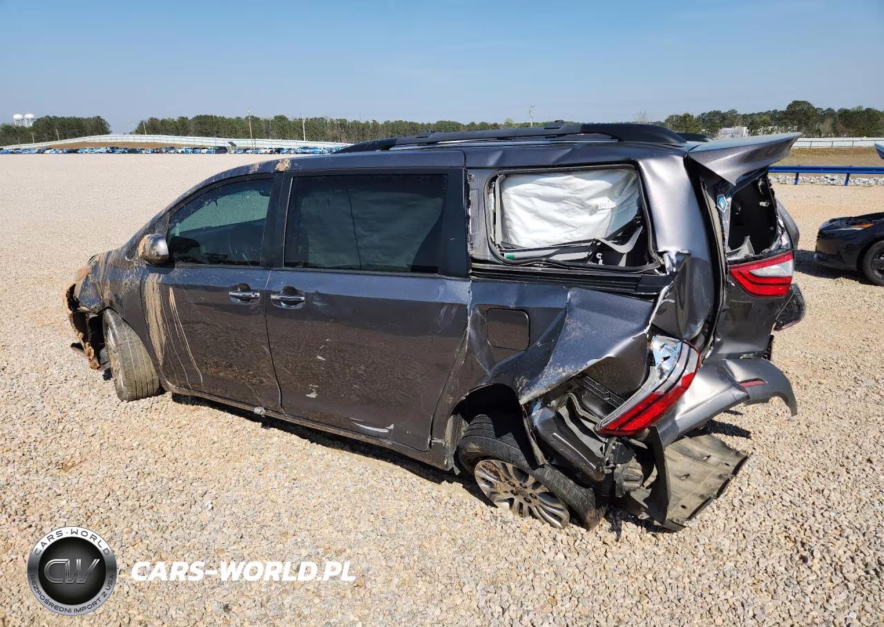 2017 Toyota Sienna Xle 8-Passenger VIN:5TDYZ3DC7HS838839 - 2