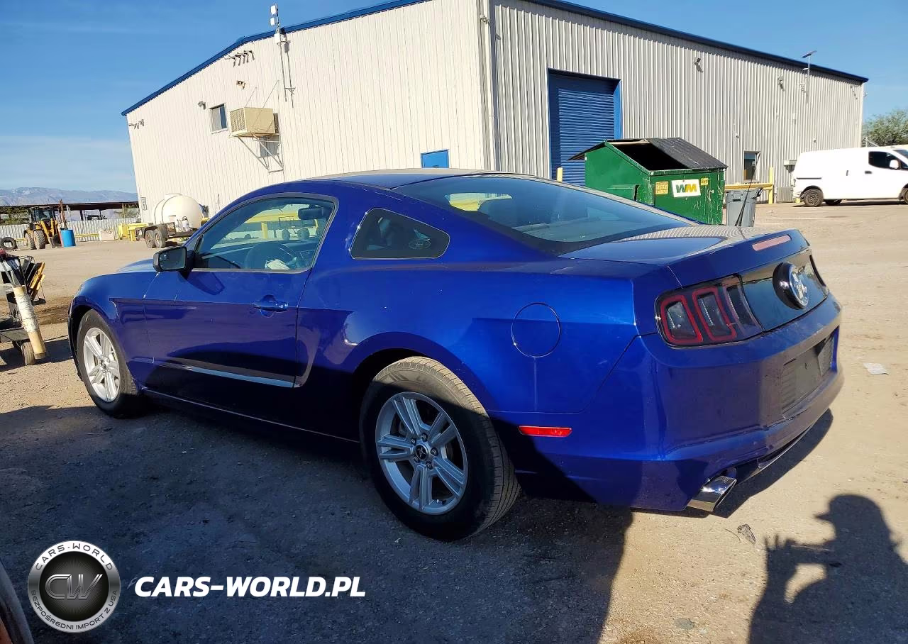 2014 Ford Mustang VIN:1ZVBP8AMXE5296768 - 2