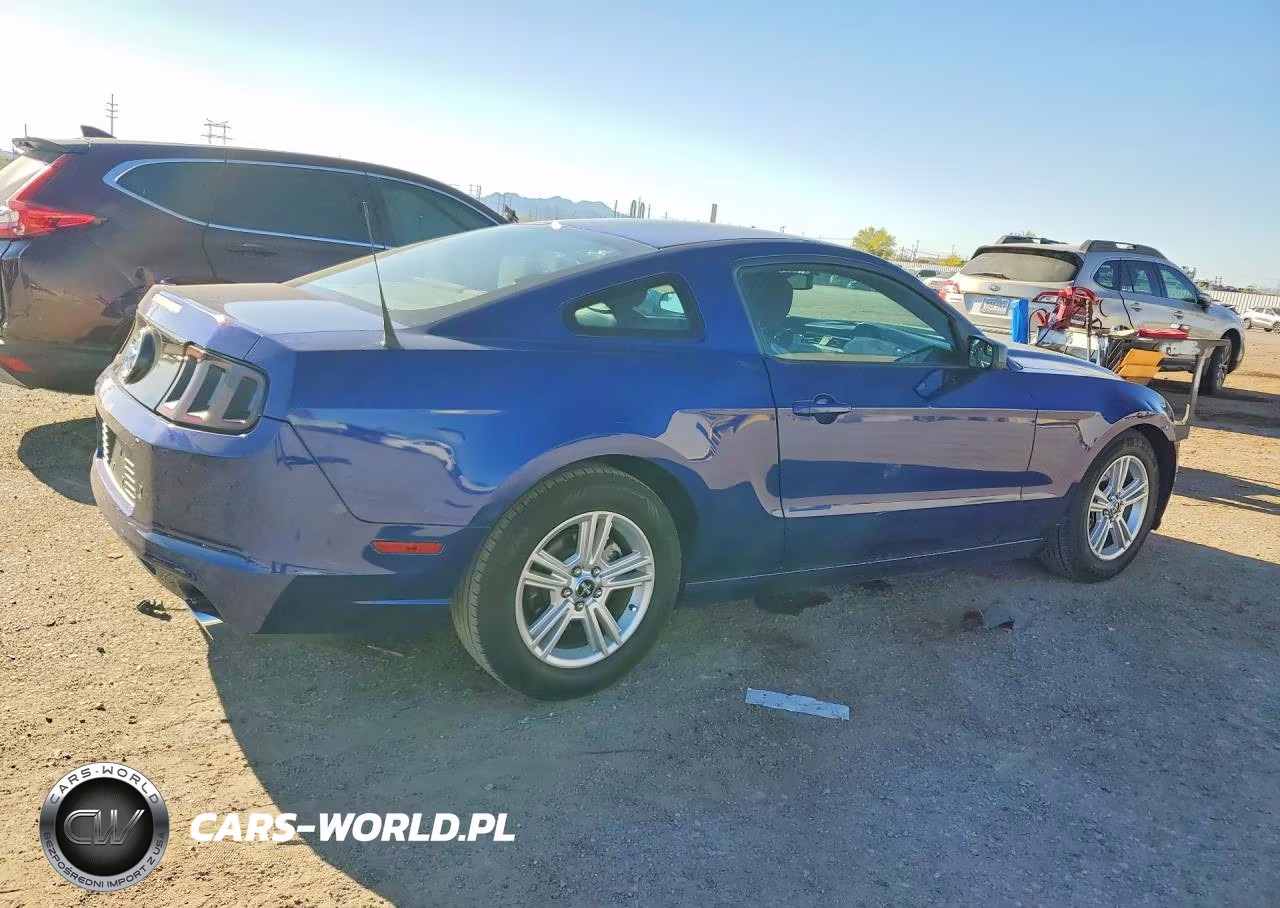 2014 Ford Mustang VIN:1ZVBP8AMXE5296768 - 3