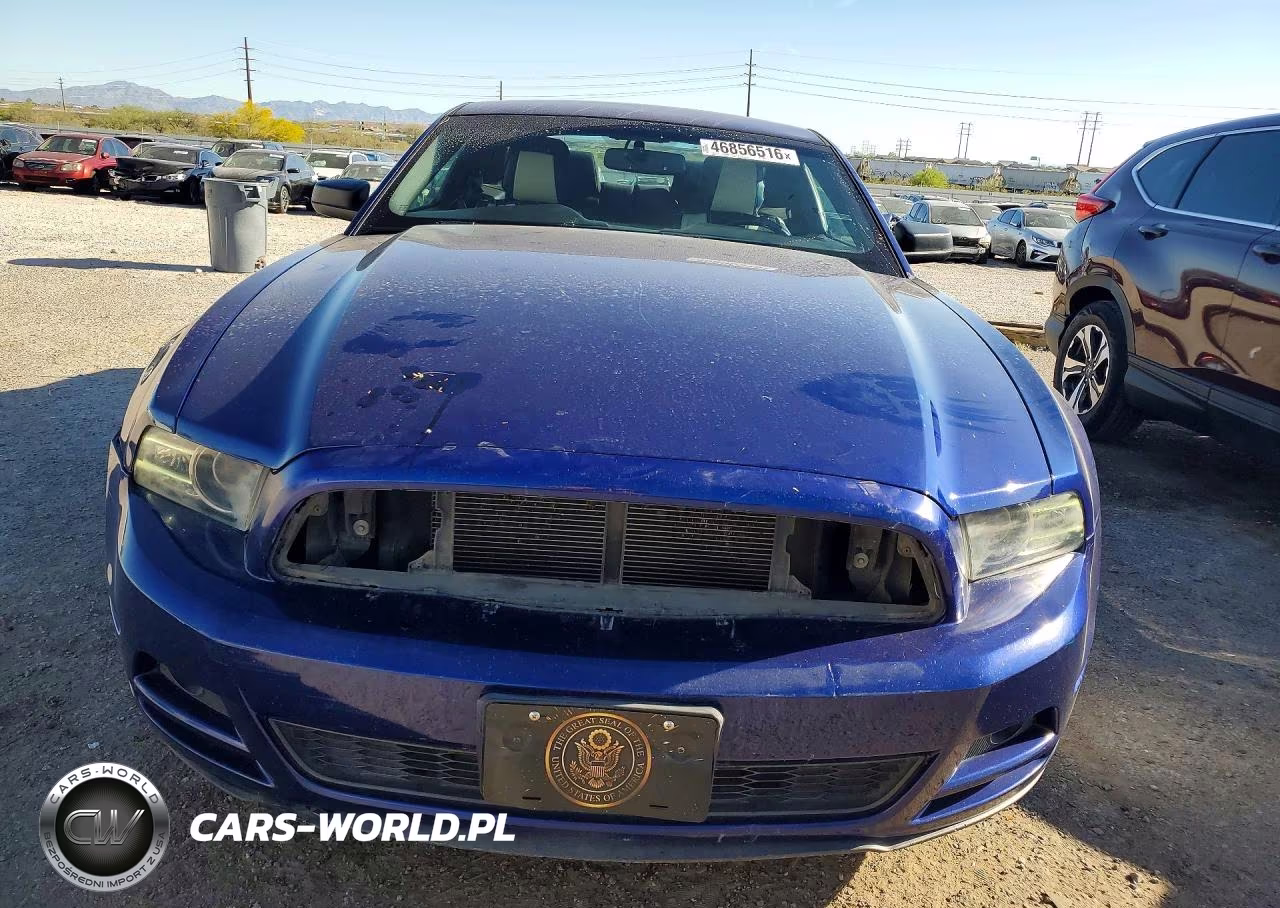 2014 Ford Mustang VIN:1ZVBP8AMXE5296768 - 5