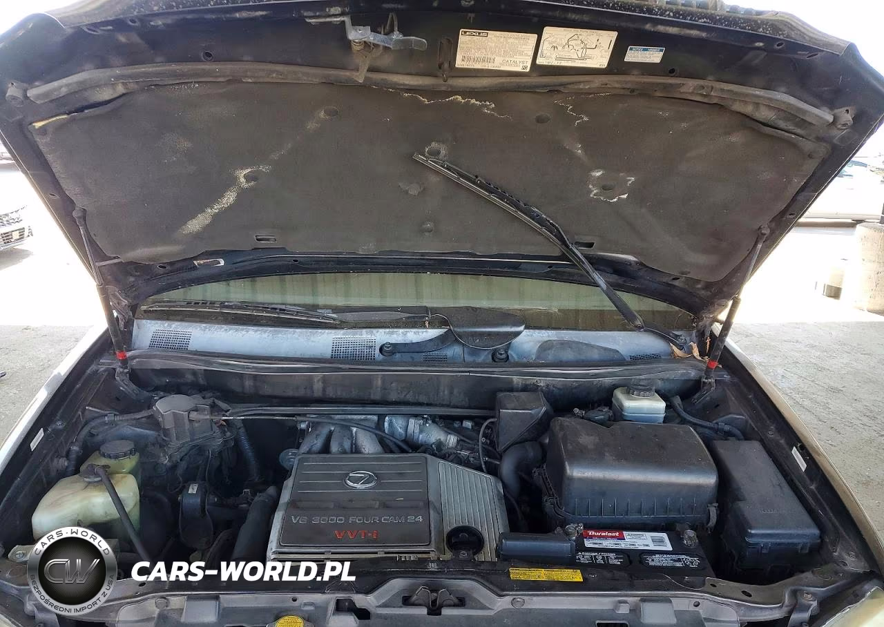 2001 Lexus Rx 300 Base VIN:JTJHF10U210166304 - 11