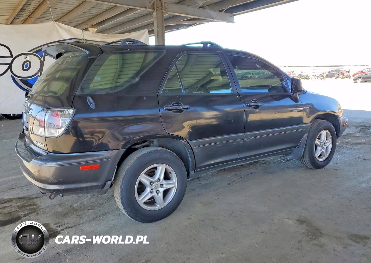 2001 Lexus Rx 300 Base VIN:JTJHF10U210166304 - 3