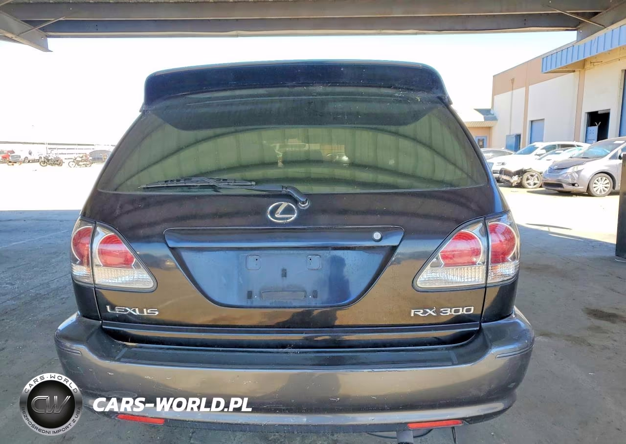 2001 Lexus Rx 300 Base VIN:JTJHF10U210166304 - 6