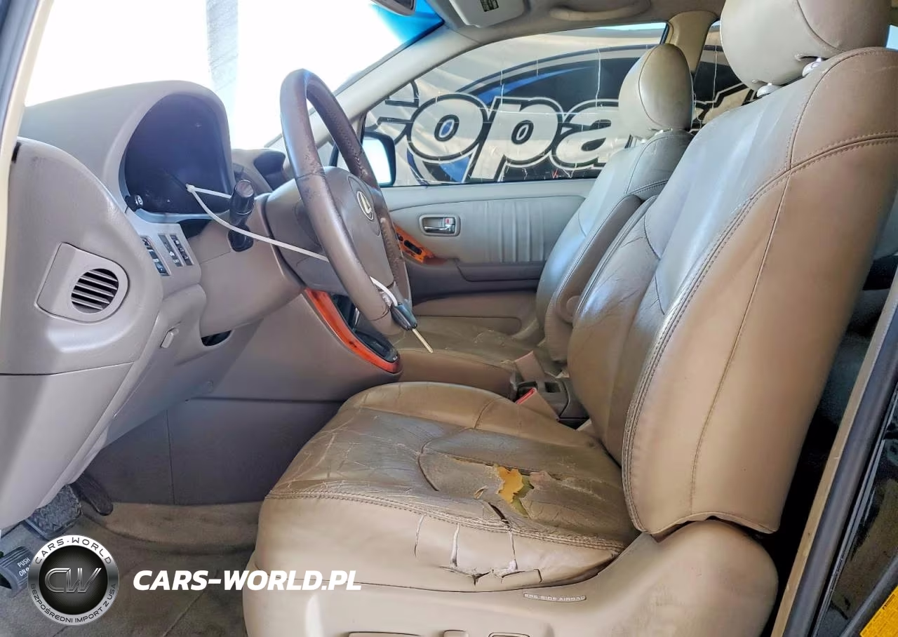 2001 Lexus Rx 300 Base VIN:JTJHF10U210166304 - 7