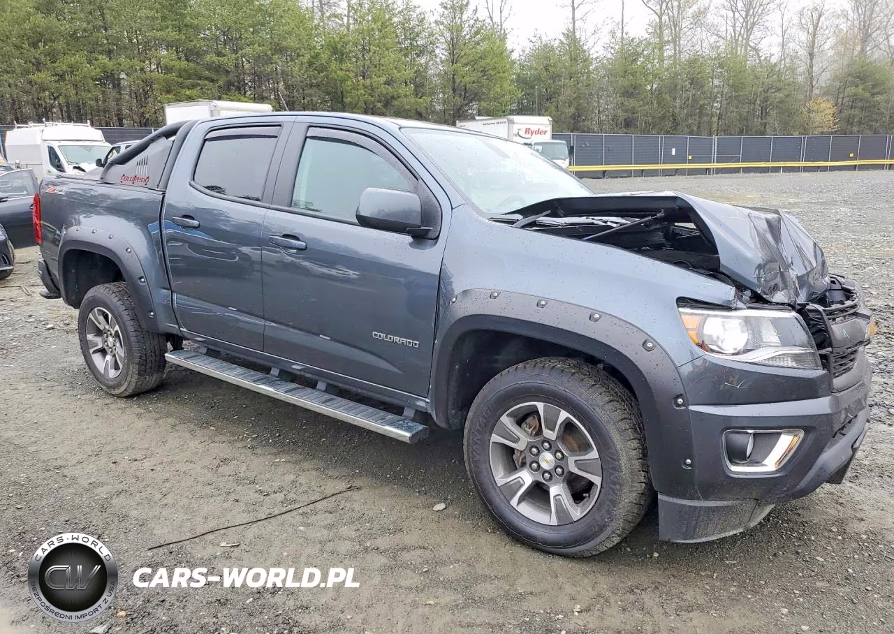 2016 Chevrolet Colorado Z71 VIN:1GCGTDE37G1363190 - 4