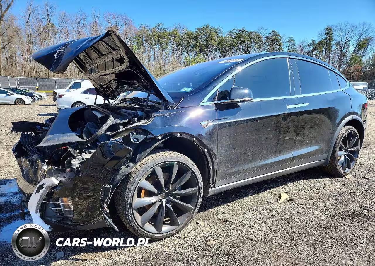 2019 Tesla Model X