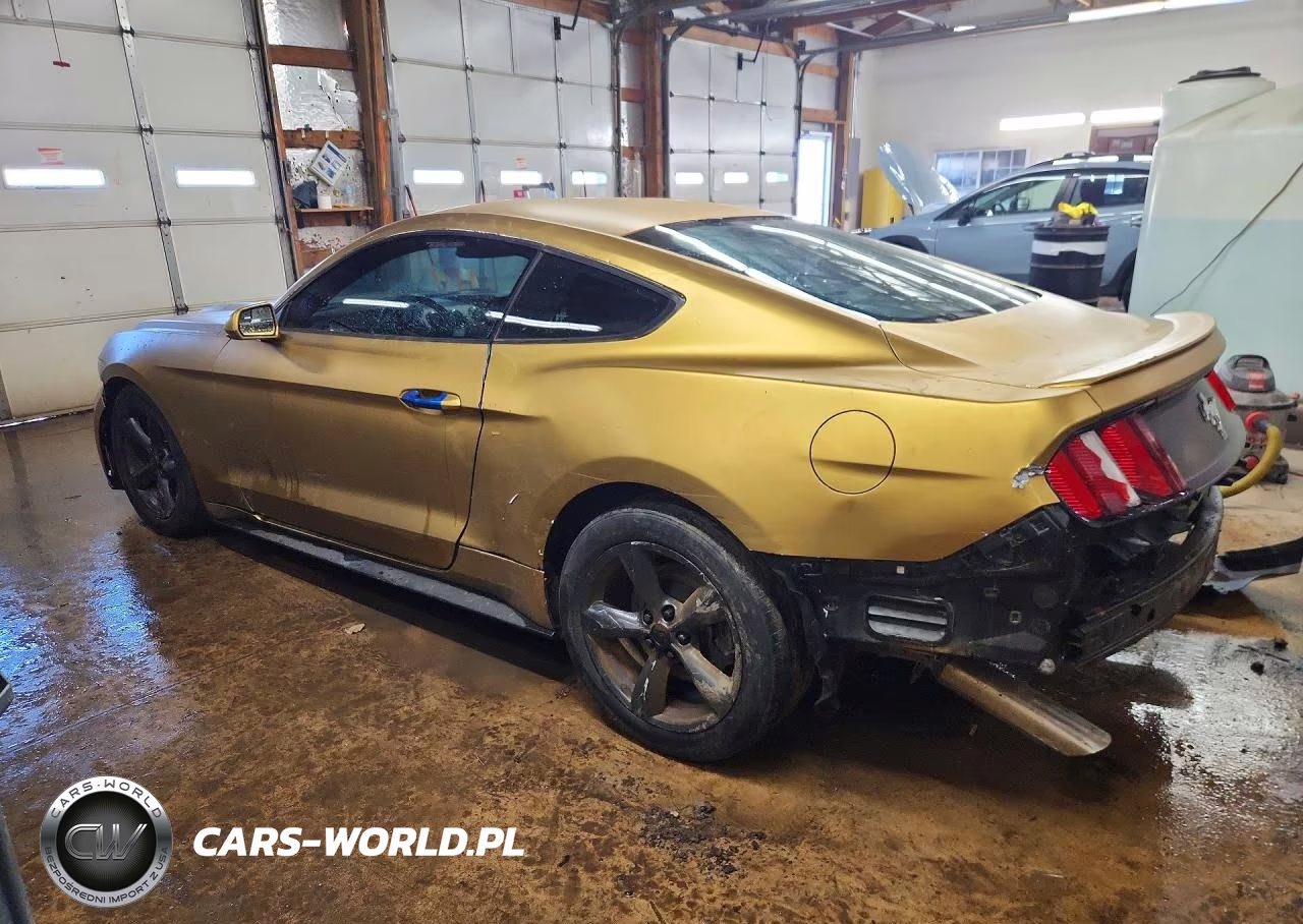 2015 Ford Mustang VIN:1FA6P8AM8F5377179 - 2