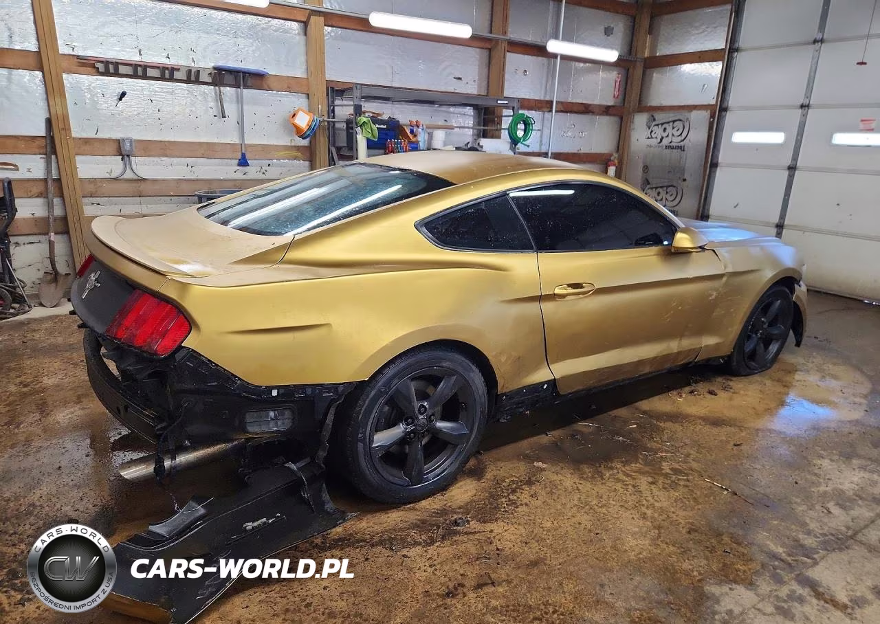 2015 Ford Mustang VIN:1FA6P8AM8F5377179 - 3