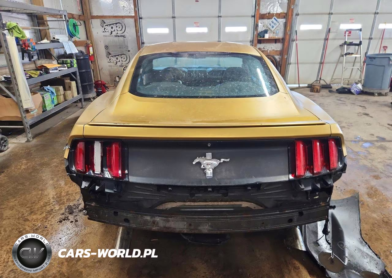 2015 Ford Mustang VIN:1FA6P8AM8F5377179 - 6