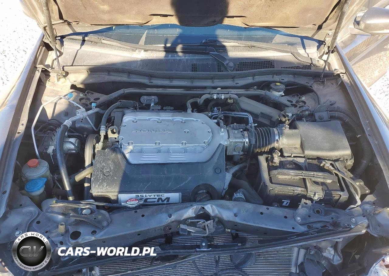 2011 Honda Accord Exl VIN:1HGCP3F8XBA011027 - 11
